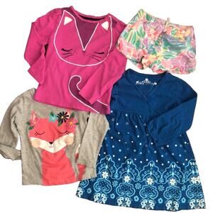 Girl's 4 T bundle dress, shorts, tees